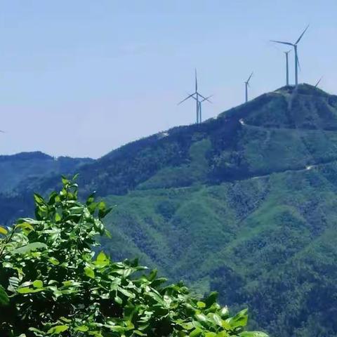 推行垃圾付费制，打造靓丽古台山