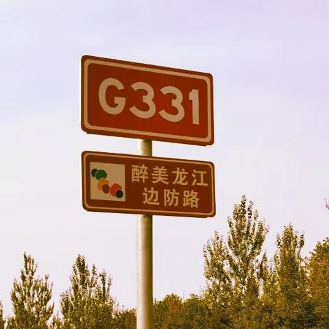 G331