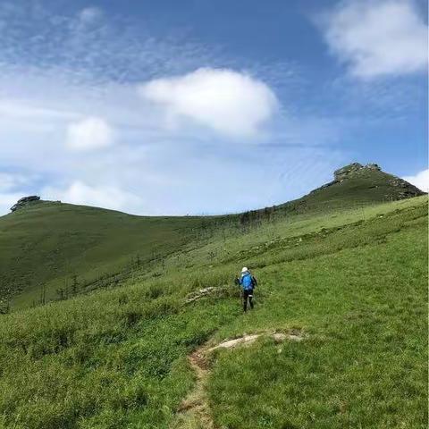 秦岭鹿角梁徒步