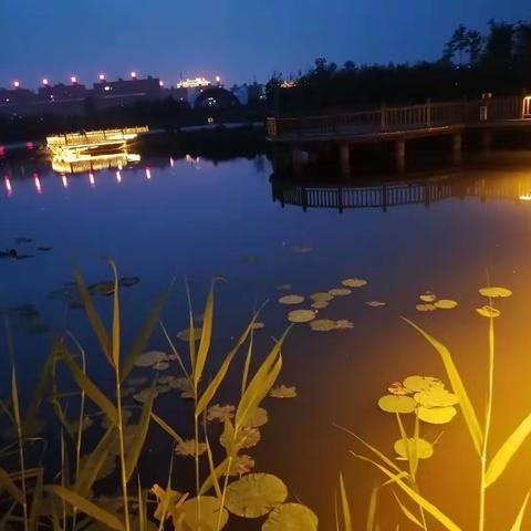 曾经沧海难为水