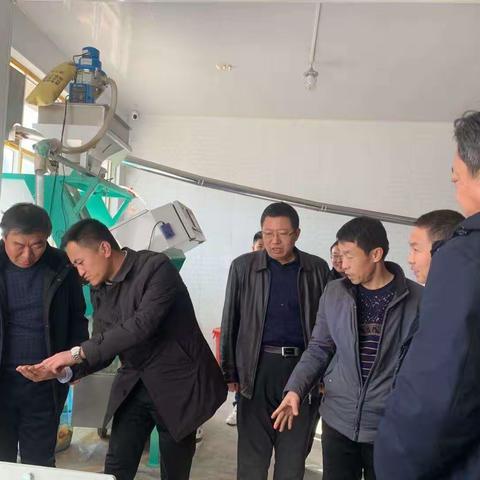 省农业农村厅牟晓平一行调研我区家庭农场培育发展工作