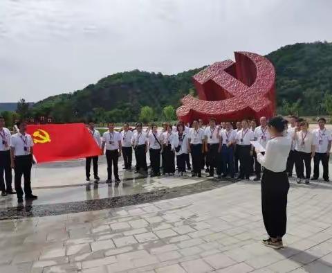 宝塔区农经站支部开展丰富多彩的主题党日活动