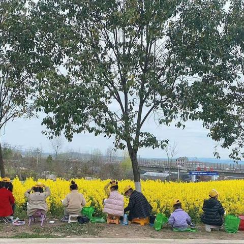 春暖“画”开，和苹果树孩子们去写生！