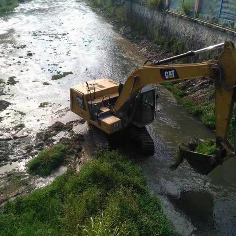 陈大镇对碧溪流域河道进行清理整治工作