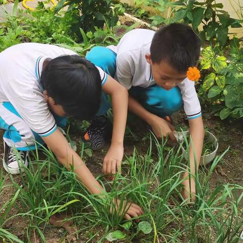 2021秋季学期学生劳动图片