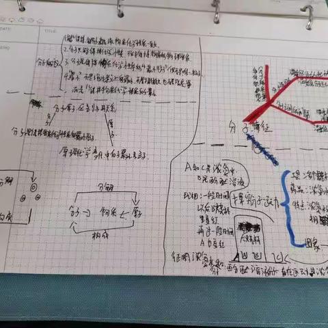 新九年级高一成长营第十一天共学时光