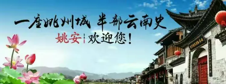 荷花酒哪个厂家比较好