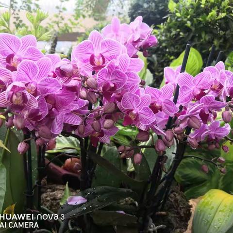 过往皆成追忆       未来一切可期