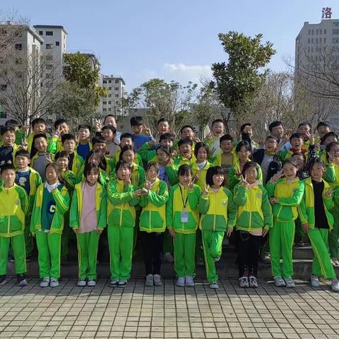 洛宁新宇小学四一班一周记事