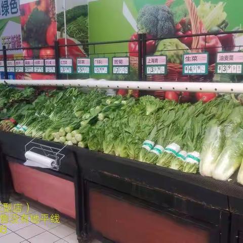 4月19日第1次营运汇报