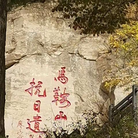 沂源一中“主题党日活动”之十