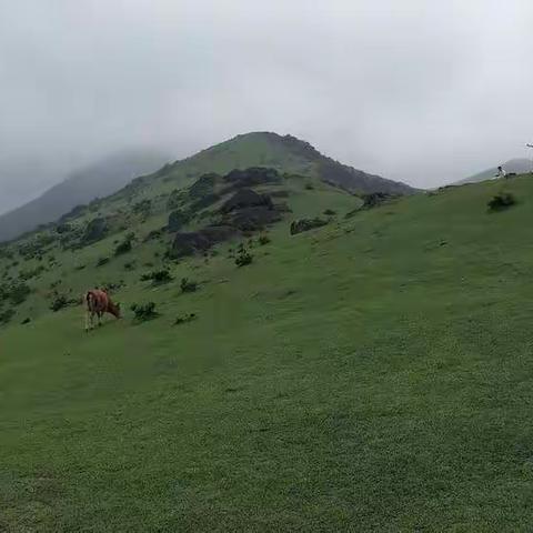 七律·大姆山草场