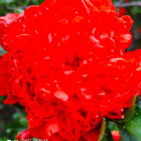 祝我生日快乐，敬与往事干杯！