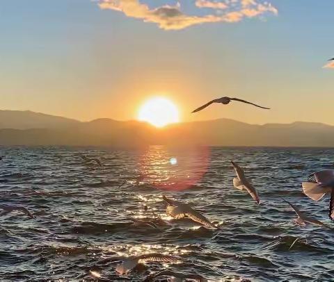 【千思装饰 添瑞】重点小区【龙湖春江天玺】8月7号打卡