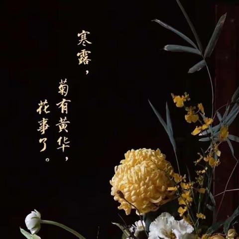 踏莎行   寒露   月溶溶词