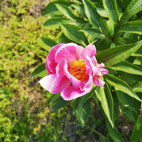 景勋 Jing xun的美篇