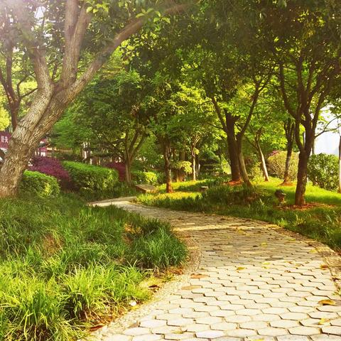 手机随拍之二：曲径