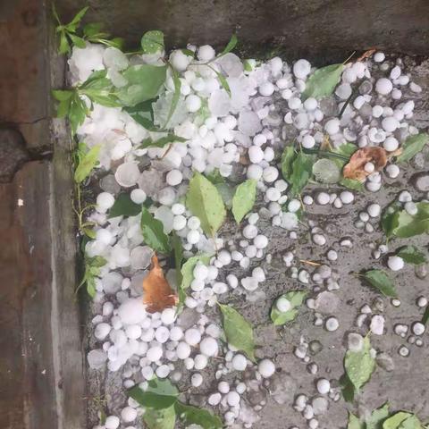 几十年一遇的冰雹