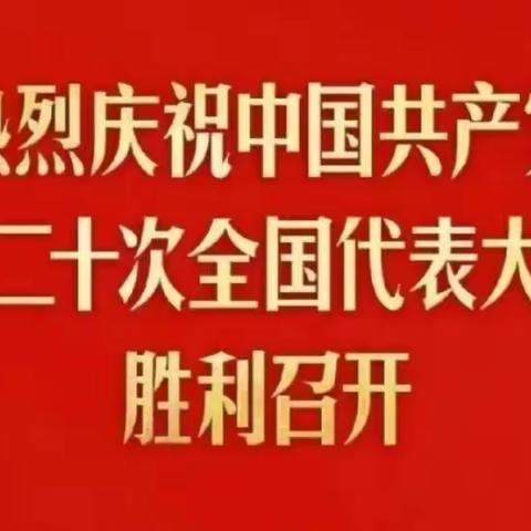 【喜迎二十大，奋进新征程】