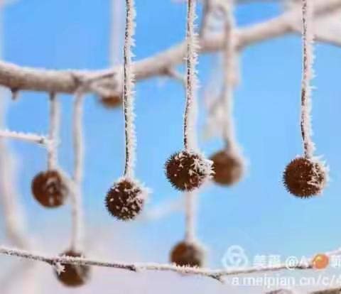 我的美篇★小雪时节