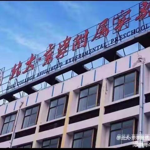 北大•京学附属实验幼儿园亲子体验课——音乐活动《棒棒糖》🍭