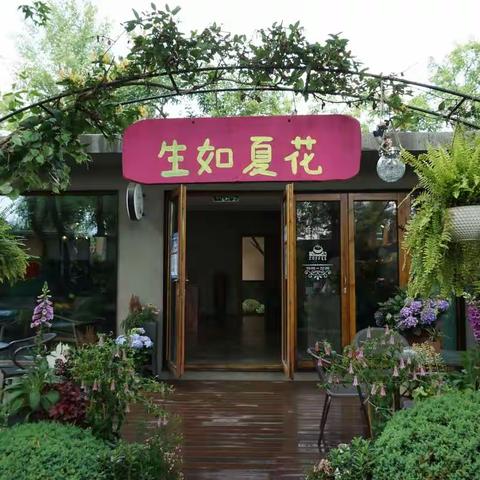 花一样绚烂（物资采购部第一期)