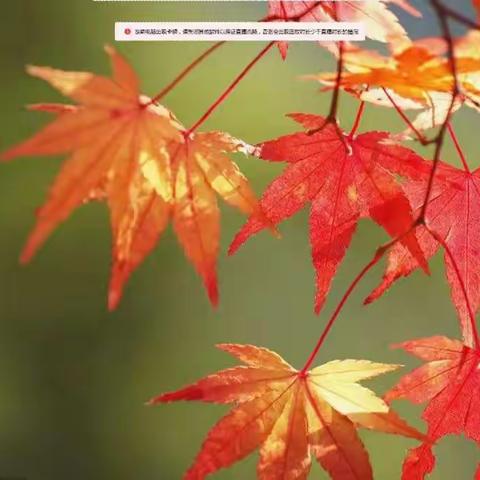 新学期  新气象