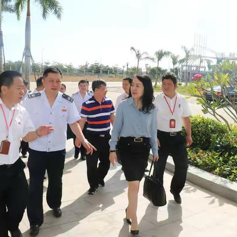 万宁市税务局认真落实总局“26条”助力民营经济发展