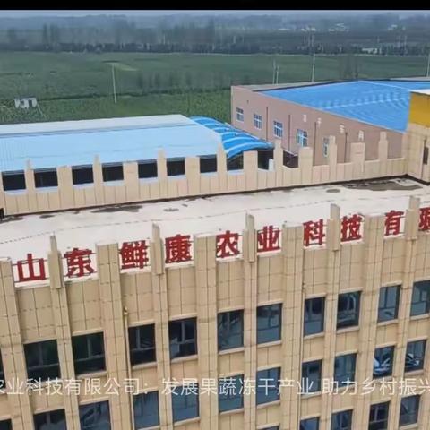 党建赋能企业发展