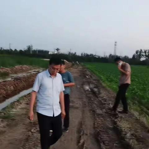 铁腕整治违建图斑，党建先行吹响专项行动的号角