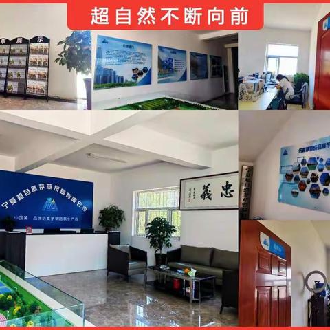 超自然，一直想向前