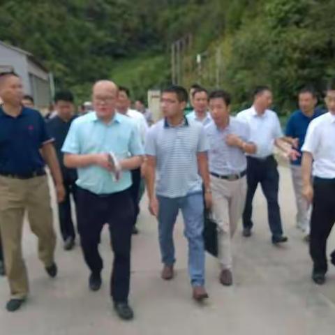 中央环保督察组来武督察