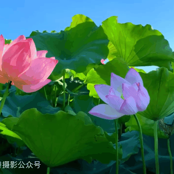 课14乔视下《12利用镜面蒙版结合关键帧技巧，打造精致的视频转场效果~》足迹67（20221215）