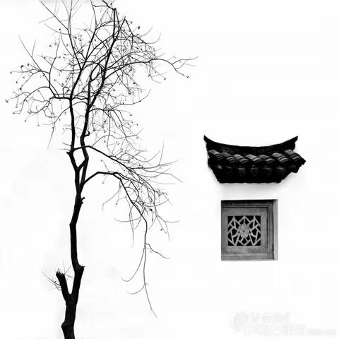 《十二月之赏图（51期02）—— 古建筑摄影作品之二》足迹67（20221225）