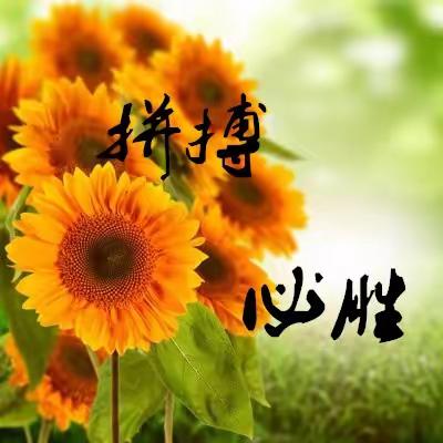 磨砺待出鞘  锋芒向未来