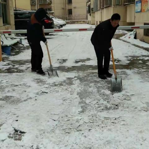 开发公司党员活动日-扫雪活动