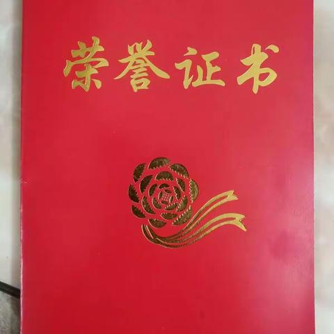 童趣无限的小学六年