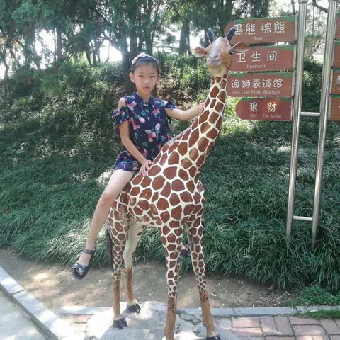 实验小学二年级一班陈昕快乐暑假生活（副本）