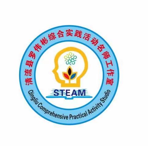实践 拓展 创新——罗伟彬名师工作室开展学科专题教研活动