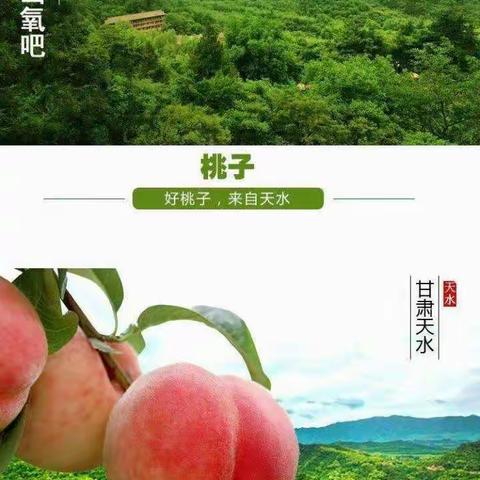 《甘肃秦安蜜桃》