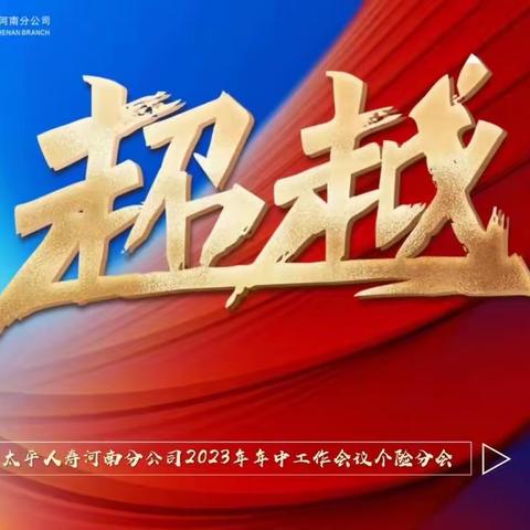 河南分公司2023年年中工作会议个险分会会议