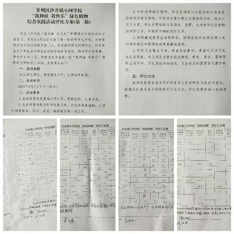 沙井镇小河学校“我种植 我快乐”绿色班级评比第二轮活动纪实