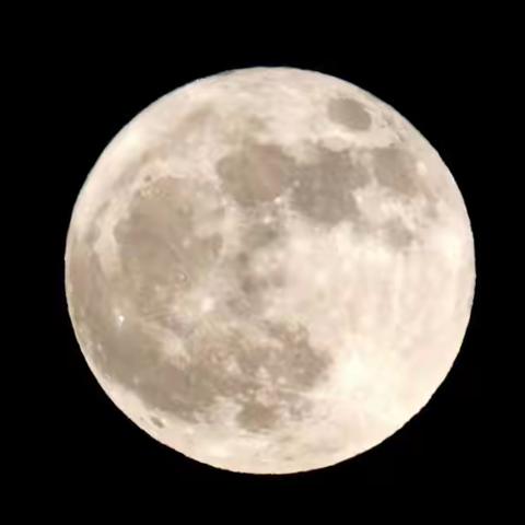 但愿人长久，千里共婵娟。