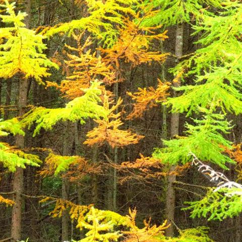 甘肃现代摄影学会“美丽秋色”之走进秋天的美丽