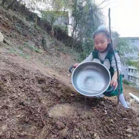 【一一班高玉馨】3月12日植树节