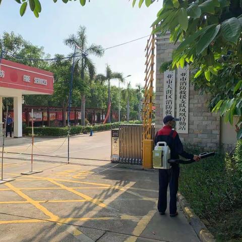 天涯区大队开展除四害工作
