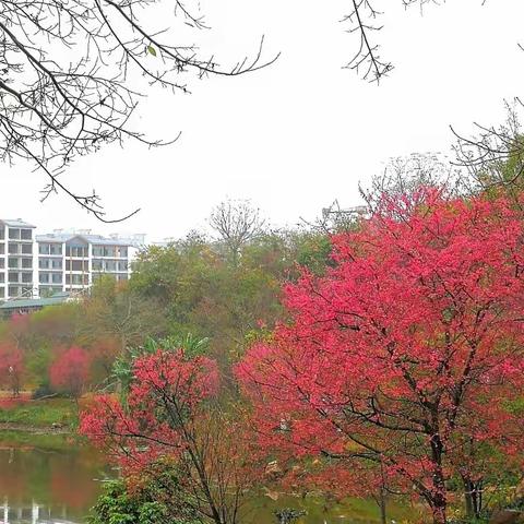 春日骑行在美丽的青秀山上