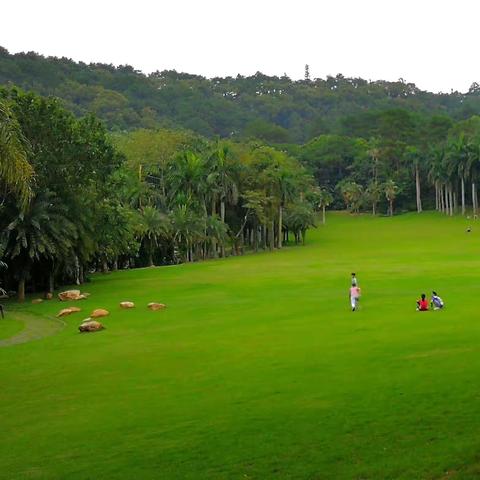 盛夏美丽的南宁青秀山