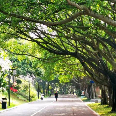 南湖春天的颜色