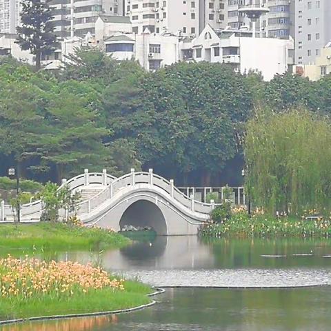 初夏暖阳下美丽的南宁南湖与邕江